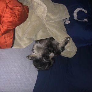 Meet your Posher, Francisco